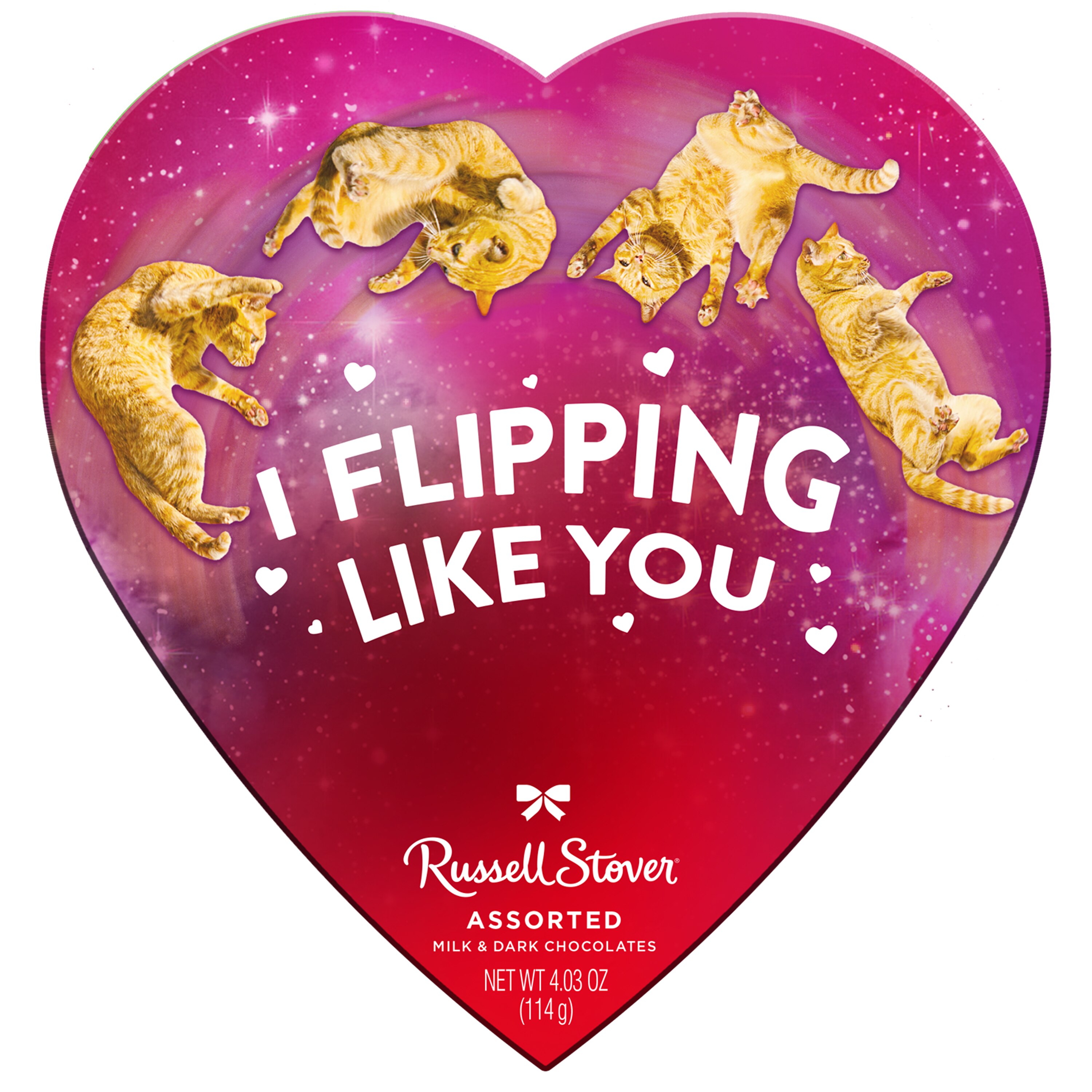 Russell Stover Valentine's Day Meme Heart Assorted Milk & Dark Chocolate Gift Box, 4.3 Oz - 4.03 Oz , CVS