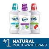 Tom's of Maine Silly Strawberry Children's Anticavity Fluoride Rinse, 16OZ, thumbnail image 5 of 5