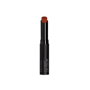 Wet N Wild Perfect Pout Lip Color, Extra Cinnamon, Please , CVS