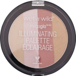 Wet N Wild MegaGlo Illuminating Palette, Catwalk Pink - 0.4 Oz , CVS