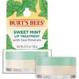 Burt's Bees Lip Treatment, Sweet Mint with Sea Minerals, 0.25 OZ, thumbnail image 1 of 19