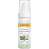 Burt's Bees Skin Nourishment Gentle Foaming Cleanser for Normal to Combination Skin, 4.8 OZ, thumbnail image 1 of 9