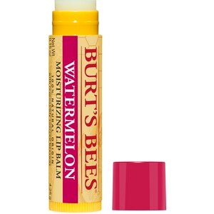 Burt's Bees 100% Natural Origin Moisturizing Lip Balm, Watermelon, 2 CT