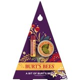 Burt's Bees A Bit of Burt's Bees Pomegranate Lip Balm and Cuticle Cream Holiday Gift Set, thumbnail image 1 of 4