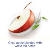 Dove Antiperspirant & Deodorant Dry Spray, Apple & White Tea, 3.8 OZ, thumbnail image 4 of 5