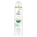 Dove Ultimate 72-Hour Antiperspirant & Deodorant Dry Spray, Cucumber Water & Mint, thumbnail image 1 of 7