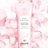 Pantene Nutrient Blends Miracle Moisture Boost Conditioner with Rose Water, thumbnail image 2 of 13