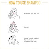 Pantene Pro-V Curl Perfection Shampoo, thumbnail image 4 of 12