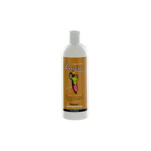 Organic Excellence - Champú, Wild Mint, 16 oz