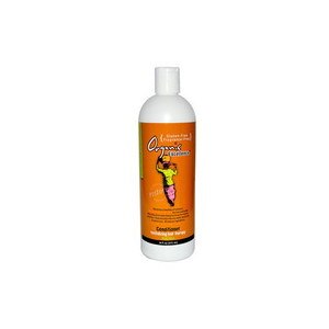 Organic Excellence Wild Mint Conditioner, 16 OZ