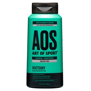 Art of Sport 2-in-1 Shampoo & Conditioner, Victory - 13.5 oz | CVS