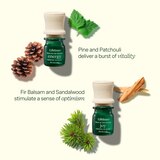 Lifelines Essential Oil Blends 4 Pack - Walk In The Woods, thumbnail image 3 of 4