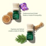 Lifelines Essential Oil Blends 4 Pack - Walk In The Woods, thumbnail image 4 of 4