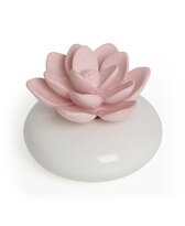 BLUZEN Succulents Oval Aroma Stone Set (5mL Rose Oil Included)