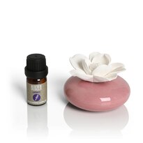 BLUZEN Pink Oval Succulent Aroma Stone Set (5mL Lavender Oil Included)