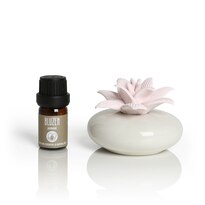 BLUZEN Poinsetta Succulent Aroma Stone Set (5mL Jasmine Oil Included)