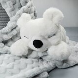 Pure Enrichment PureBaby Sound Sleepers Portable Sound Machine & Star Projector, Polar Bear, thumbnail image 5 of 6
