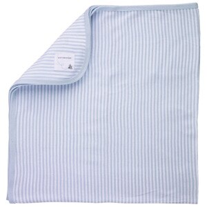  Burt's Bees Baby Blanket, Sky Stripe 