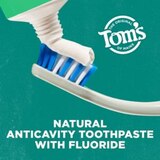 Tom's of Maine Wicked Fresh Fluoride Anticavity Toothpaste, Spearmint Ice, 4.7 OZ, thumbnail image 4 of 8