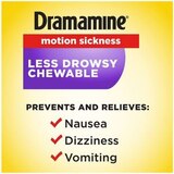 Dramamine, All Day Motion Sickness Relief Chewable Tablets, Raspberry Cream, 12 CT, thumbnail image 3 of 5