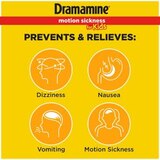 Dramamine Chewable Motion Sickness Relief for Kids, Grape, 8 CT, thumbnail image 2 of 4