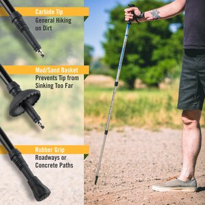 collapsible walking pole