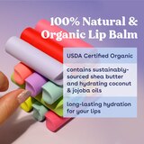 eos 100% Natural & Organic Lip Balm Variety Pack, 4 0.14 OZ Sticks, thumbnail image 4 of 6