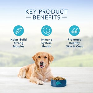 pet supplies plus blue buffalo dog food