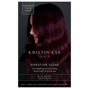 Kristin Ess Hair Signature Hair Gloss