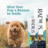 RADIUS Canine USDA Organic Dental Solutions Kit, Dog Dental Kit, Puppy, Ages 0 yrs and over, thumbnail image 5 of 7
