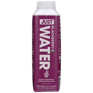 JUST Water Organic Blackberry Infused Spring Water, 16.9 oz