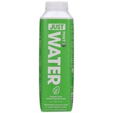 JUST Water Organic Mint Infused Spring Water, 16.9 oz, thumbnail image 1 of 8