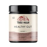 Terra Origin Healthy Gut for Digestive Support Powder, thumbnail image 1 of 5