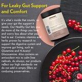 Terra Origin Healthy Gut for Digestive Support Powder, thumbnail image 4 of 5