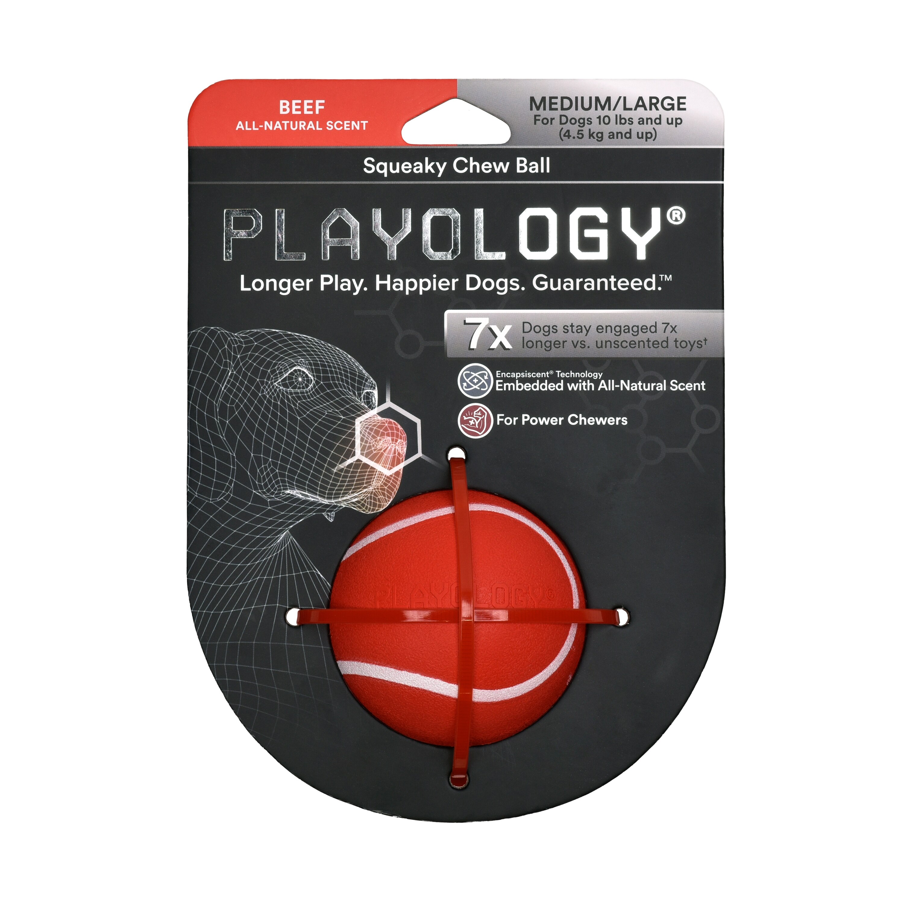 Playology Squeaky Chew Ball, Beef, Medium , CVS