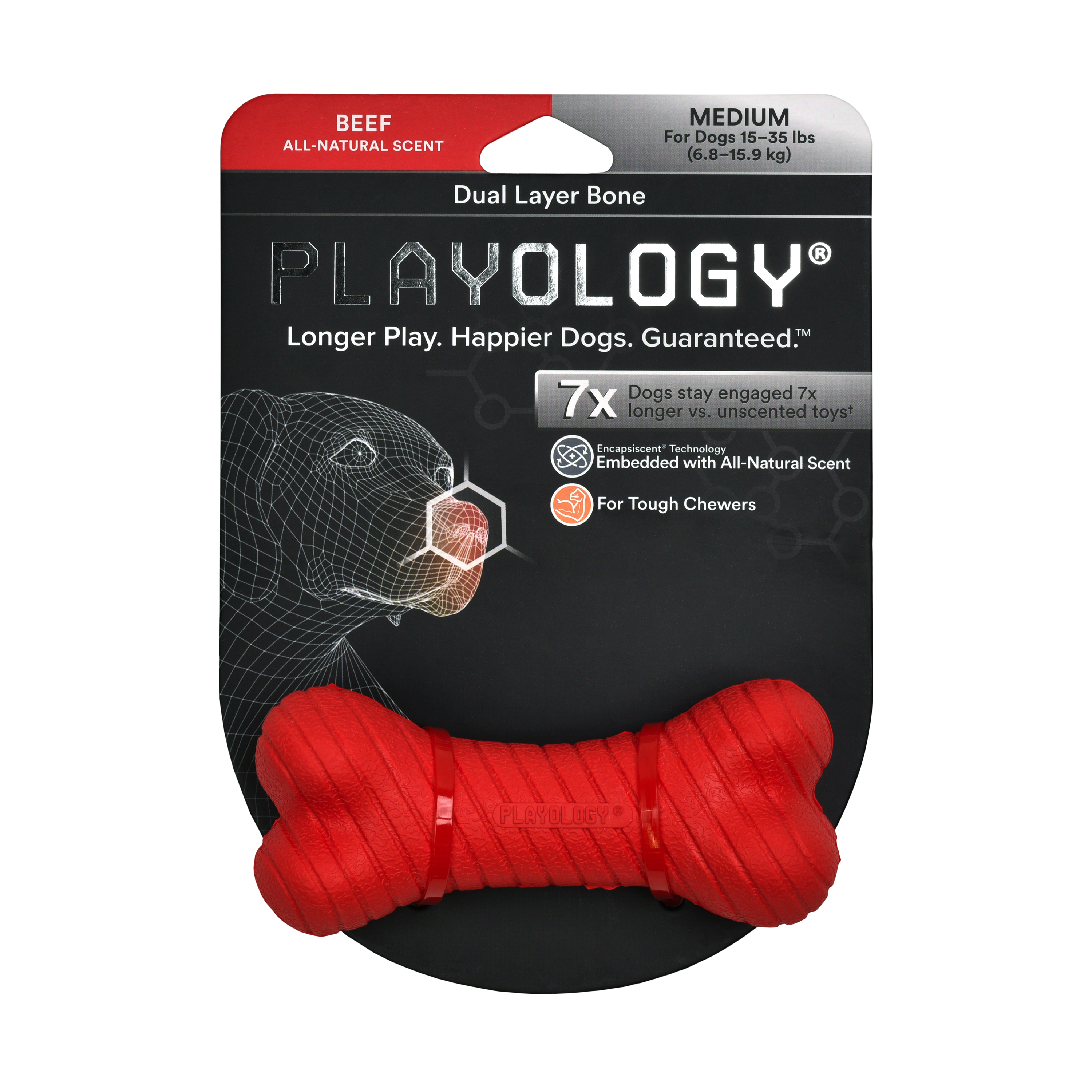 Playology Dual Layer Bone, Beef, Medium