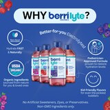 Berri Lyte Organic Electrolyte Solution, thumbnail image 5 of 13