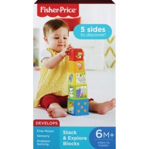 sensory blocks fisher price