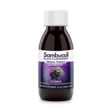 Sambucol Black Elderberry Immune Support Liquid, 4 OZ, thumbnail image 5 of 8