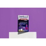 Sambucol Black Elderberry Cold & Flu Relief Quick Dissolve Tablets, 60 CT, thumbnail image 3 of 8