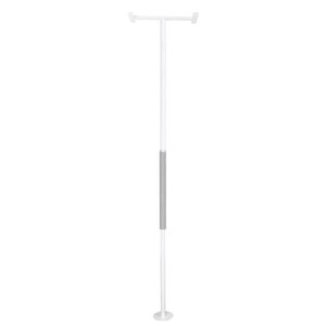  Stander Security Pole 