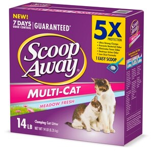 cat tree king coupon