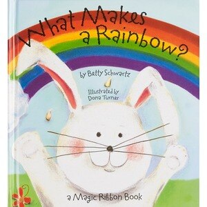 What Makes a Rainbow Storybook