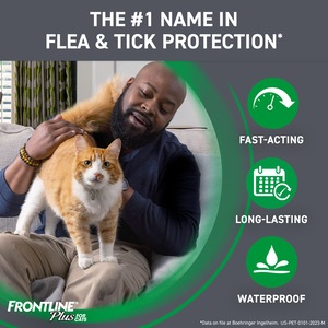 FRONTLINE Plus For Cat Kitten Flea Tick Spot Treatment 3 ct
