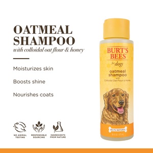 Burt s Bees for Dogs Natural Oatmeal Dog Shampoo Made in USA 16oz