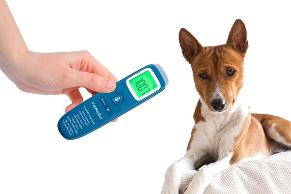 Non-Contact Digital Pet Thermometer for Dogs