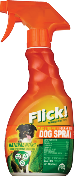 Flick! Max Strength Flea & Tick Dog Spray, 16 OZ