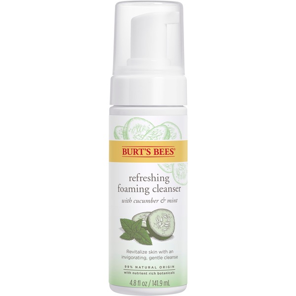 Burt's Bees Skin Nourishment Gentle Foaming Cleanser for Normal to Combination Skin, 4.8 OZ