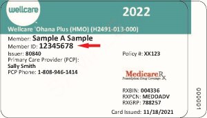 cvs otc sunshine health