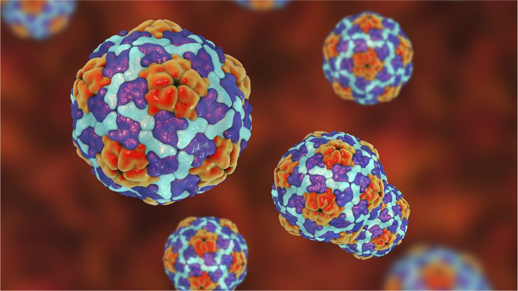 A computer rendering of hepatitis B under a microscope.